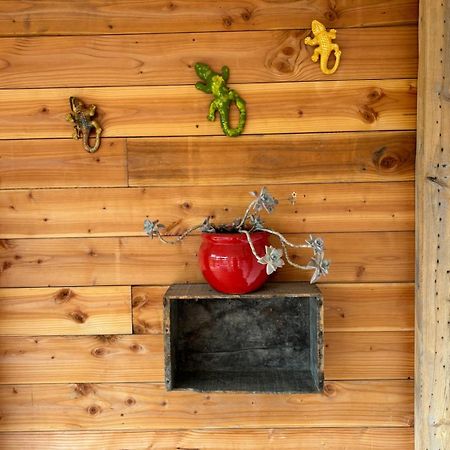 Les Flo Location Apartamento Aigues-Mortes Exterior foto